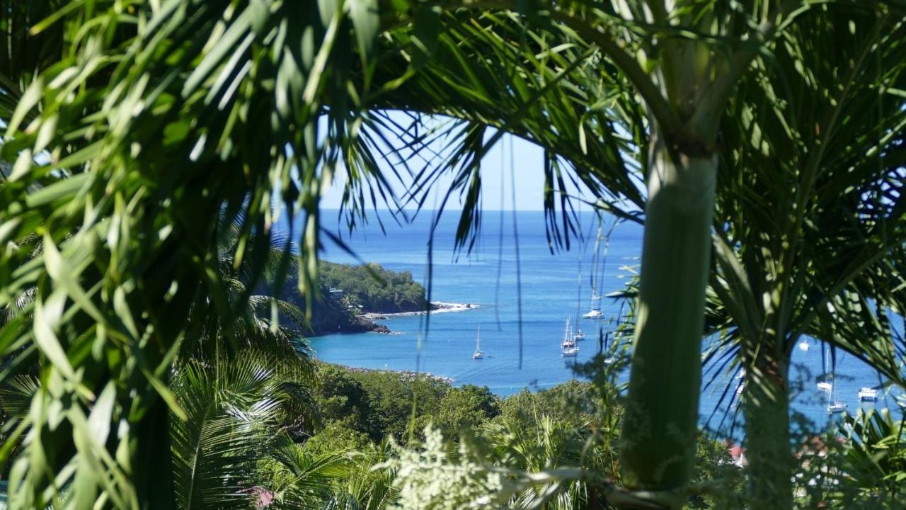 O Coeur De Deshaies Appartements Grande Anse Et Amandiers ภายนอก รูปภาพ