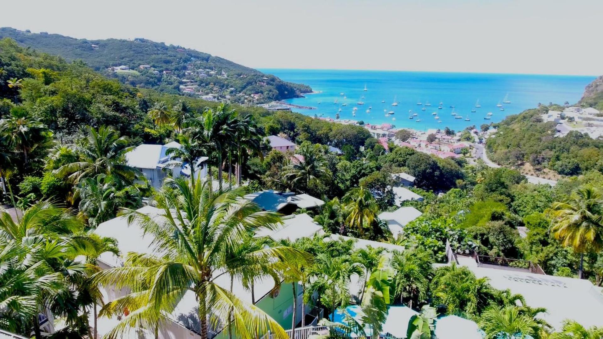 O Coeur De Deshaies Appartements Grande Anse Et Amandiers ภายนอก รูปภาพ