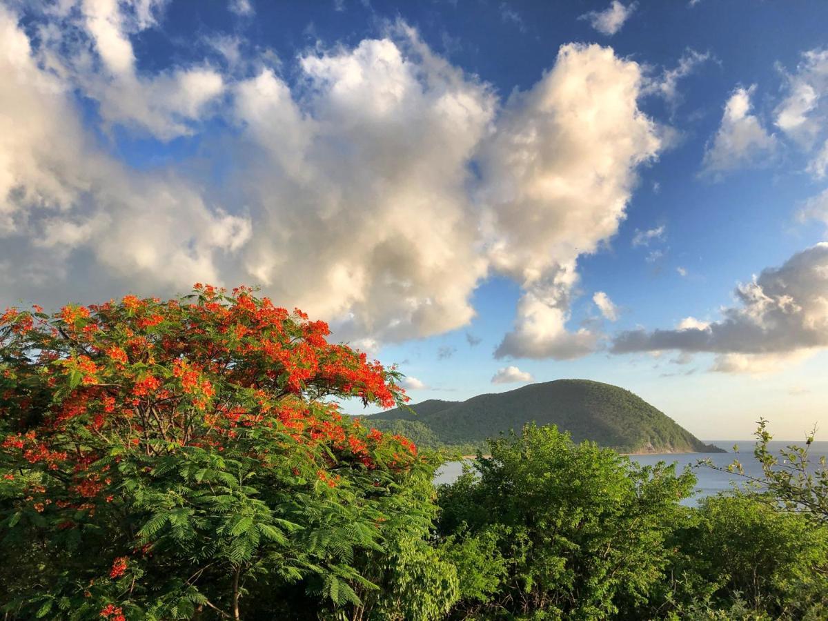 O Coeur De Deshaies Appartements Grande Anse Et Amandiers ภายนอก รูปภาพ