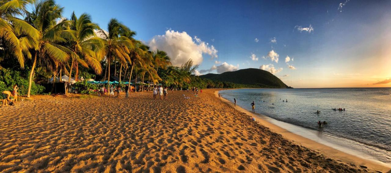 O Coeur De Deshaies Appartements Grande Anse Et Amandiers ภายนอก รูปภาพ